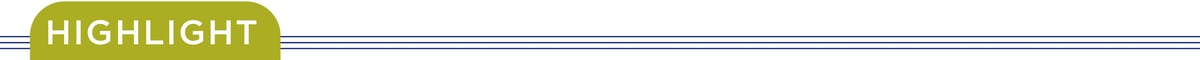 Highlight divider